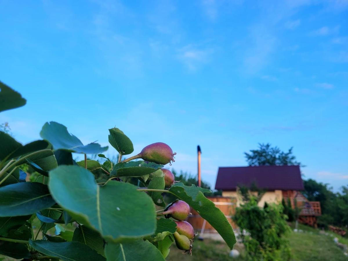 Casa David Villa Plai  Eksteriør bilde