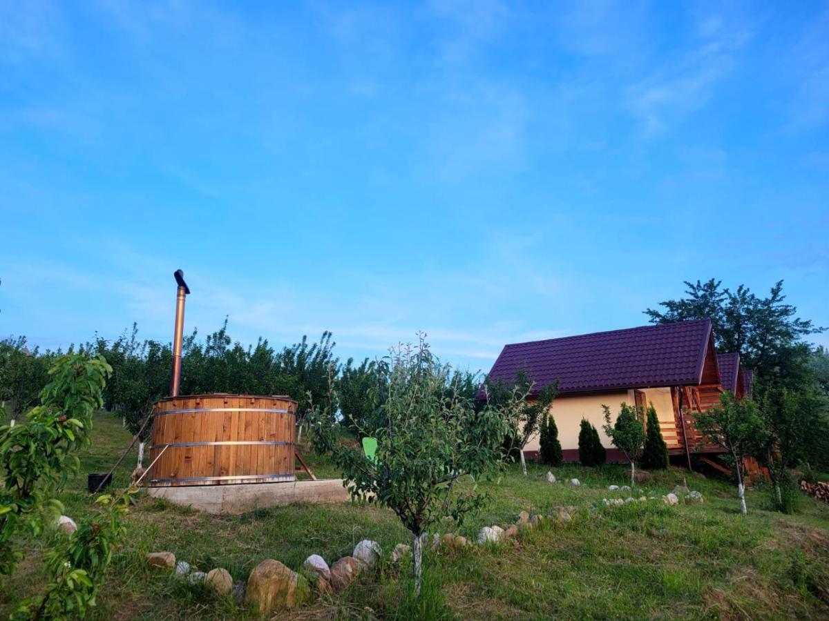 Casa David Villa Plai  Eksteriør bilde